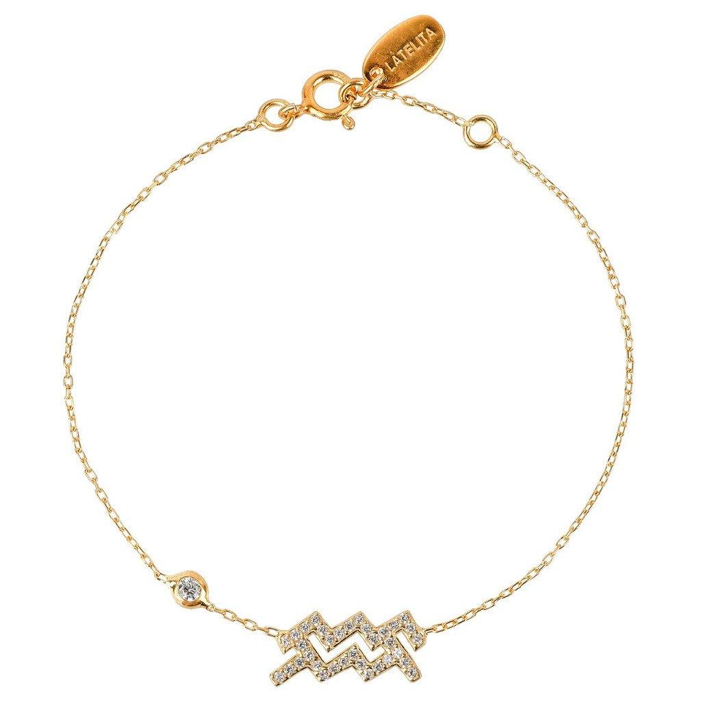 سوار برج الدلو حسب الأبراج الفلكية