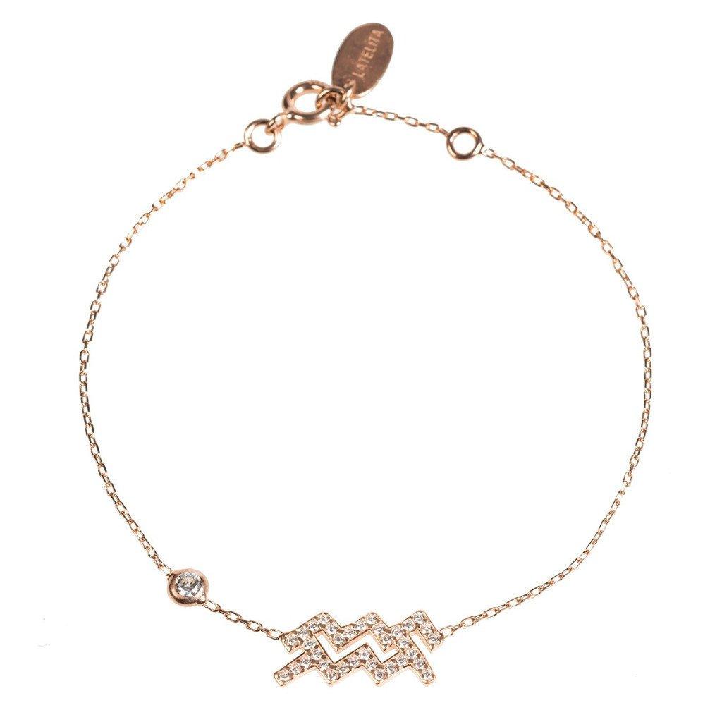 سوار برج الدلو حسب الأبراج الفلكية