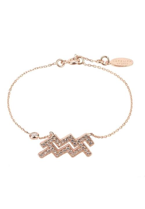 سوار برج الدلو حسب الأبراج الفلكية